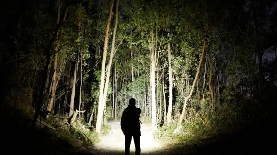 Olight Pocket EDC Flashlight: Baton 3 Pro Max or Baton 3