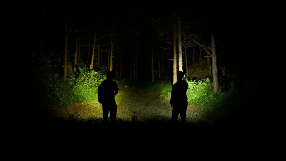  Cool White Flashlight and Neutral White Flashlight