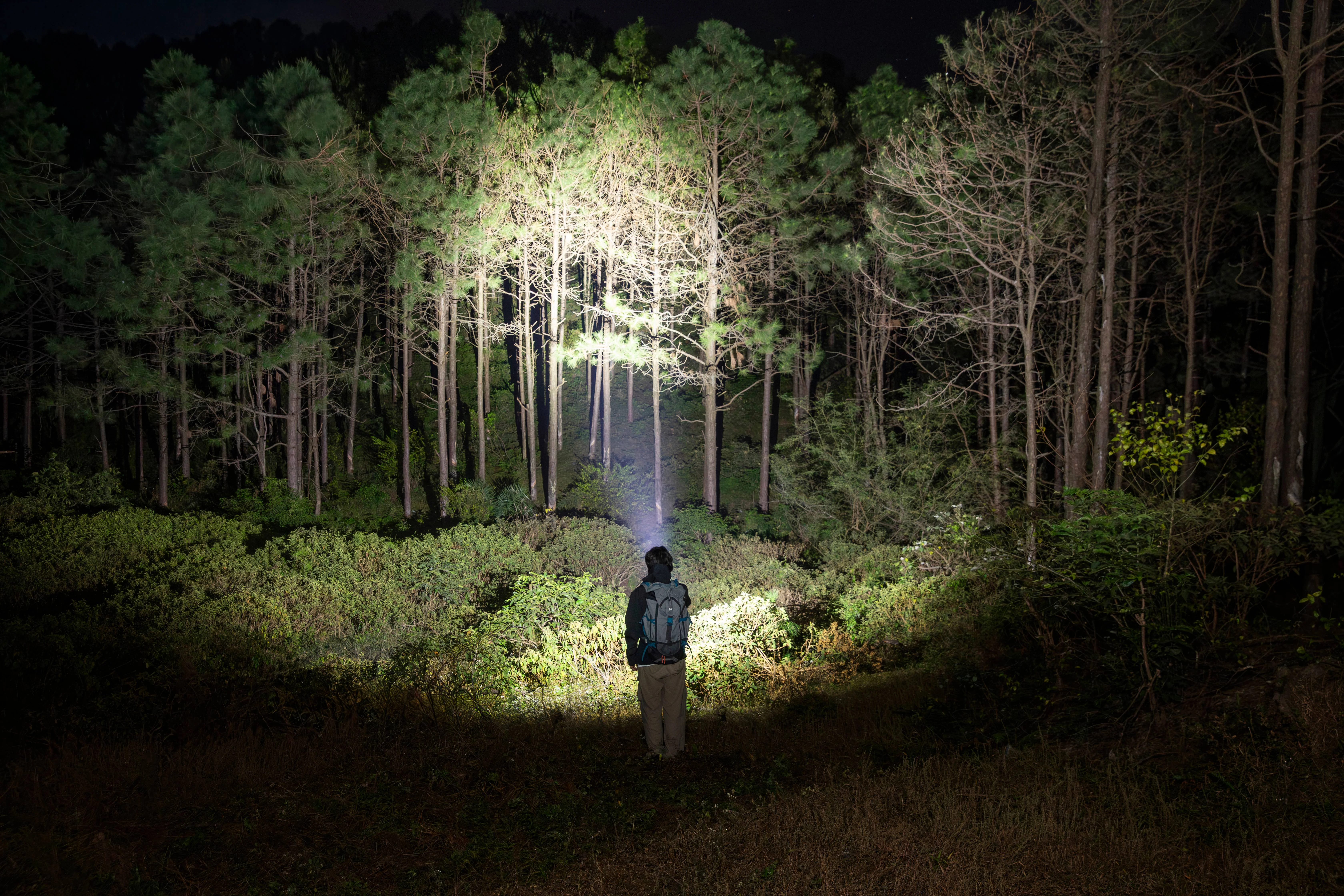 Flashlight Beam Types Flood vs Throw TIR Lens vs Reflector and Olight Beam Categories Guide