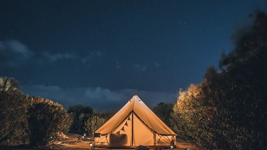 Do You Know the 3 Best Camp Lights by Olight?