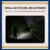 Person holding 90 lumens flashlight illuminating a dark road surrounded by trees at night