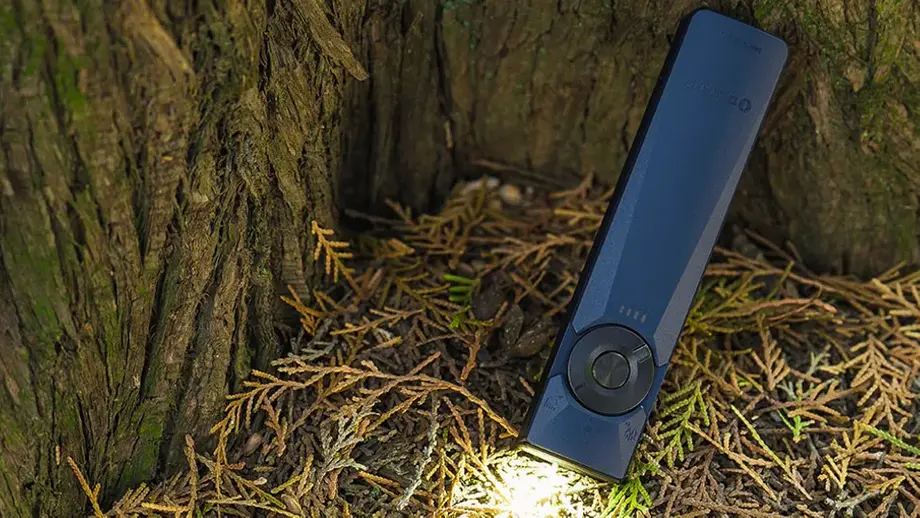 Dark blue portable flashlight illuminating dried foliage at the base of a tree trunk.