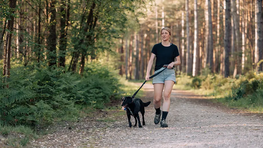 5 Must-Have LED Flashlights for Safe and Enjoyable Dog Walks