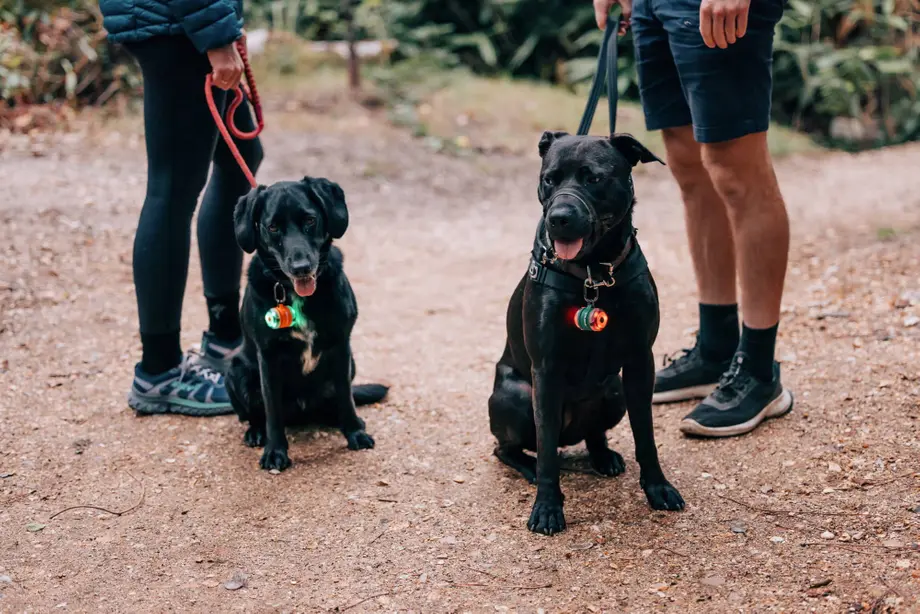 The perfect Safety Light for the person on the go: The Olight Gober Kit Safety Light