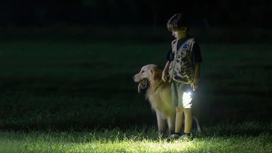 Best Hunting Flashlight Guide: How to Choose the Right Light for Every Hunting Scenario