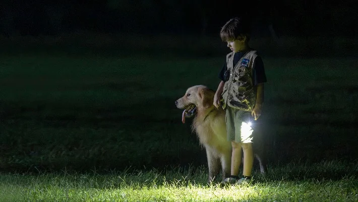 Olight Obulb Pro S Multi-color ORB Light: Smart and Colorful