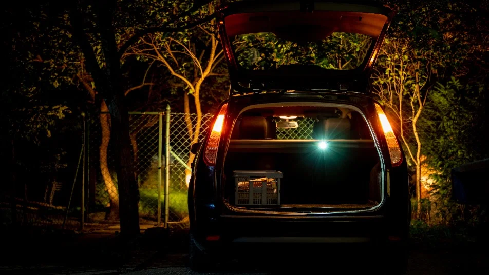 Best Flashlights for Road Trips & Overlanding: 2026 Vehicle Gear Guide
