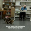 Man playing with cat using green laser pointer, pet interaction toy