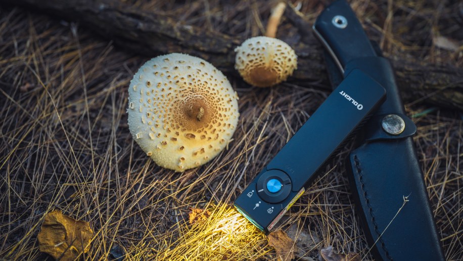 Olight Arkfeld Pro Review: White light, UV, Laser Flat