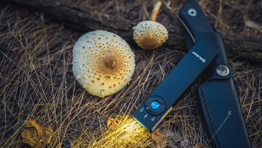 Triple the Lights, Triple the Possibilities-Arkfeld Pro Review